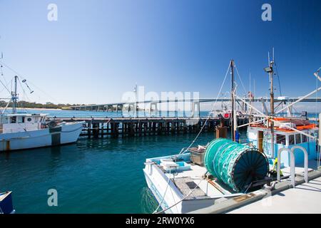 SAN REMO, DEC 14: San Remo ist ein malerisches Fischerdorf auf dem Weg nach Philip Island in Victoria, Australien Stockfoto