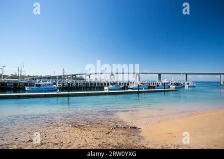 SAN REMO, DEC 14: San Remo ist ein malerisches Fischerdorf auf dem Weg nach Philip Island in Victoria, Australien Stockfoto