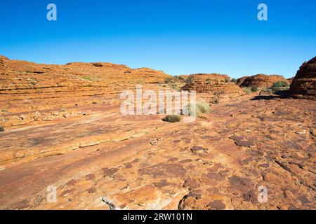 Die unglaubliche Rock Geologie der Kings Canyon im Northern Territory, Australien Stockfoto