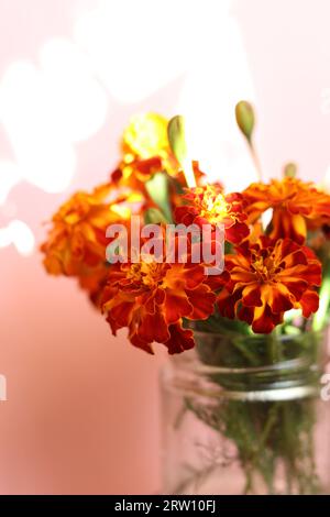 Ein Blumenstrauß aus leuchtend orangen und gelben Tagetes patula, die französischen Ringelblumen in einem Glas Stockfoto
