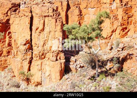 Die beeindruckende Aussicht auf Ormiston Gorge in den West MacDonnell Ranges im Northern Territory, Australien Stockfoto