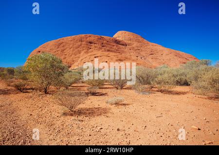 Die Olgas (Kata-Tjuta) in der Nähe des Valley of the Winds Walk im Northern Territory, Australien Stockfoto