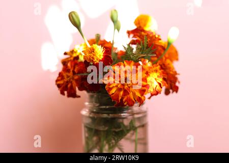 Ein Blumenstrauß aus leuchtend orangen und gelben Tagetes patula, die französischen Ringelblumen in einem Glas Stockfoto