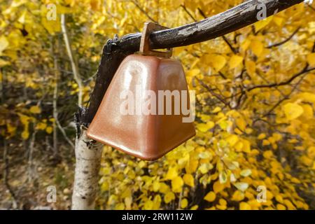 Bear Bell im Angel Rocks Trail, Chena River State Park, Alaska Stockfoto