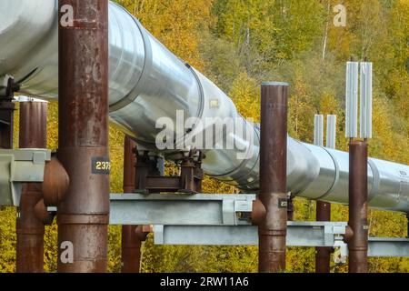 Trans Alaska Pipeline im Herbst, Steese Highway, Alaska Stockfoto