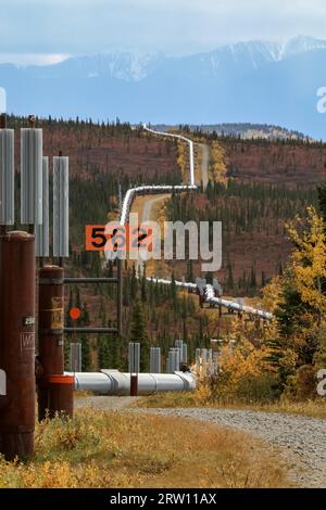 Trans Alaska Pipeline im Herbst in der Nähe von Richardson Highway, Alaska Stockfoto