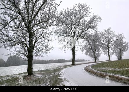 Hof ist eine eigenständige Stadt im Nordosten des bayerischen Landkreises Oberfranken. Die Stadt ist das Zentrum des Hofers Stockfoto