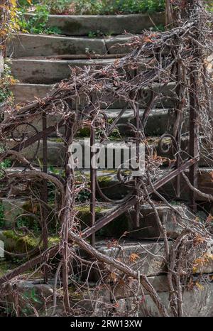 Die alte Treppe Stockfoto