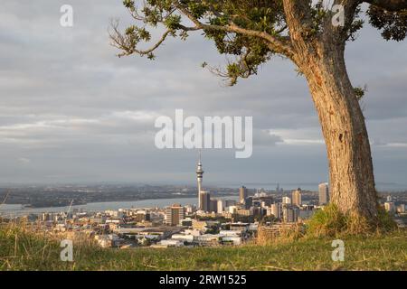 Auckland, Neuseeland, 8. Februar 2015: Blick auf die Skyline der Stadt vom Mount Eden aus Stockfoto