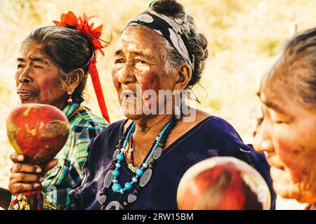 Pantanal, Paraguay im August 2015: Alte paraguayische indigene Guarani-Frauen singen ein Lied, um zu demonstrieren, dass die Regierung ihr Land eingenommen hat Stockfoto