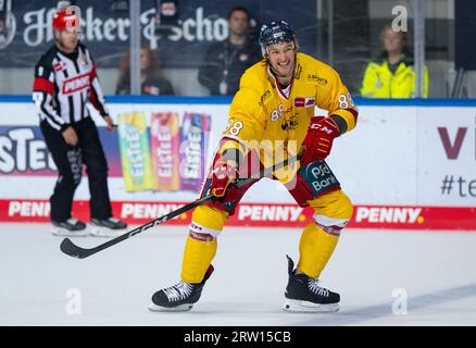 München, Deutschland. September 2023. Eishockey: DEL, EHC Red Bull München - Düsseldorfer EG, Hauptrunde, 1. Spieltag im Olympia-Eissportzentrum. Torsten Ankert von Düsseldorf in Aktion. Quelle: Sven Hoppe/dpa/Alamy Live News Stockfoto