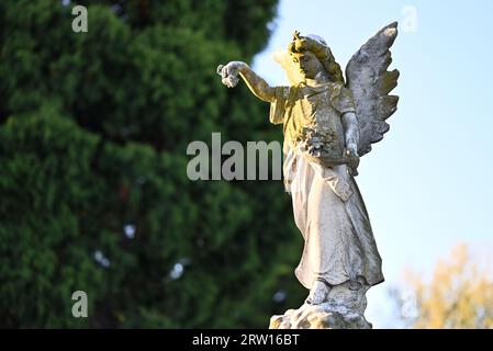 Abgenutzte und mit Moos bedeckte Steinstatue oder Skulptur eines Engels mit einem ausgestreckten Arm, der Blumen tropft Stockfoto