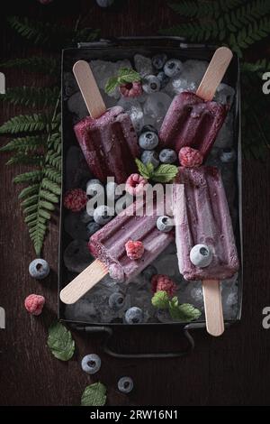 Kaltes Eissorbet aus Heidelbeeren und Himbeeren. Beeren-Sorbet-Eis. Stockfoto