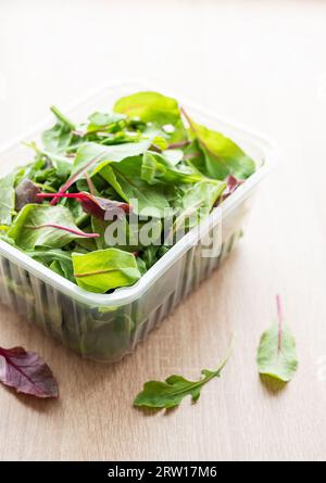 Salatmischung in einer Schachtel. Frische gemischte Salatblätter in Kunststoffbehälter Stockfoto