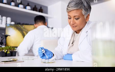 Wissenschaft, Forschung und Probe mit einer älteren Frau in einem Labor für Innovation oder medizinischen Durchbruch. Medizin, Gesundheitswesen und Wissenschaftler im Labor Stockfoto