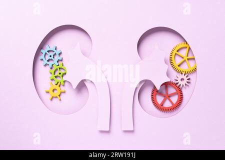 Weltnierentag. Nierenförmiges Papier. Nationaler Tag Der Organspende. Nierengesundheitskonzept. Banner mit Draufsicht. Leerzeichen kopieren. Hochwertige Fotos Stockfoto