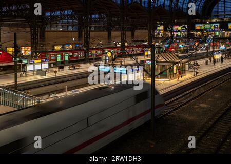 20.06.2022, Deutschland, Hamburg, Hamburg - Überblick über den Hamburger Hauptbahnhof mit ankommender ICE. 00A220620D631CAROEX.JPG [MODELLFREIGABE: NEIN, EIGENTUM RELEA Stockfoto