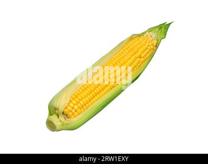 Mais. Maisohr isoliert auf weißem Hintergrund. Stockfoto