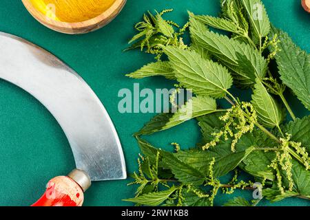 Schneiden Sie die Buchse mit frischem Brennnessel- und Grasmesser ab. Stockfoto