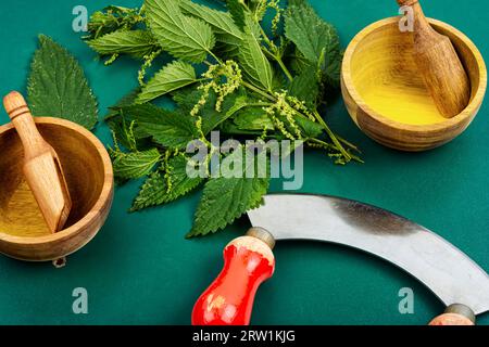 Schneiden Sie den Busch aus frischen Brennnesselblättern und dem alten Grasmesser. Stockfoto