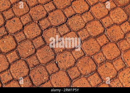 Gemusterter Pflaster mit roten Ziegeln in Ribeirao Preto, Sao Paulo, Brasilien Stockfoto