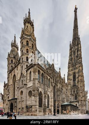 Der Stephansdom in Wien Stockfoto