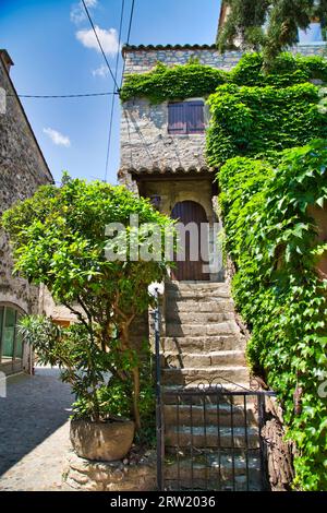 Haus mit Pflanzen bewachsen in einer Altstadt namens Aiguèze Stockfoto
