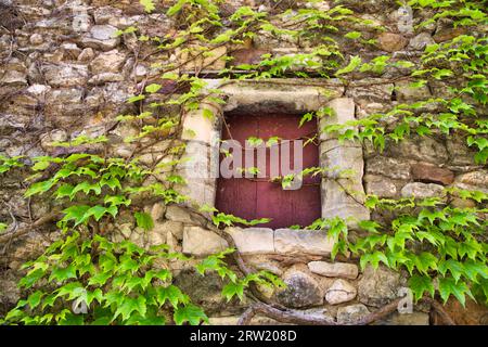 Ein bewachsenes Fenster eines Steinhauses. Fotografiert in Aiguèze. Stockfoto