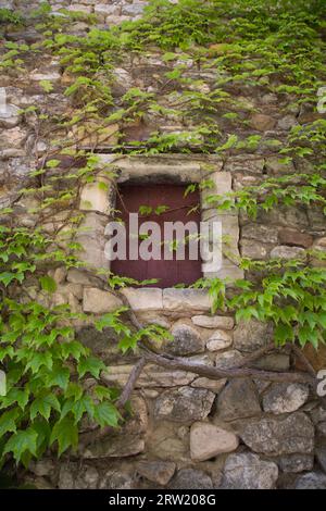 Ein bewachsenes Fenster eines Steinhauses. Fotografiert in Aiguèze. Stockfoto