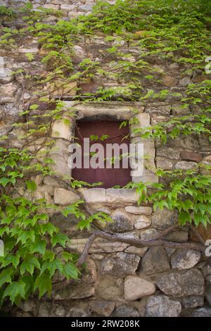 Ein bewachsenes Fenster eines Steinhauses. Fotografiert in Aiguèze. Stockfoto