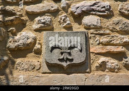 Ein Steinsymbol über einem französischen Hauseingang Stockfoto