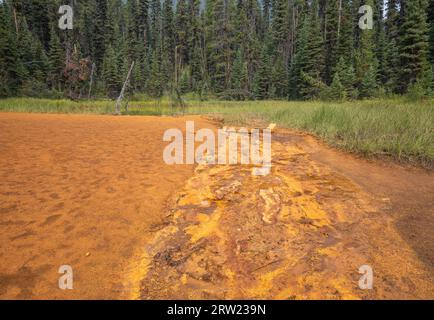 Der Standort einer verlassenen Ockermine, die zu gefärbtem Boden im Kootenay National Park, British Columbia, Kanada führte Stockfoto