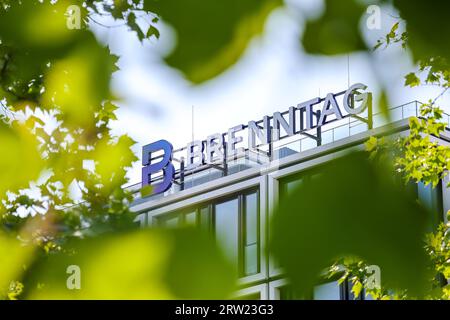 08.06.2023, Deutschland, Nordrhein-Westfalen, Essen - Brenntag, Firmenlogo an der Fassade der Brenntag-Zentrale, Brenntag SE ist die Holding com Stockfoto