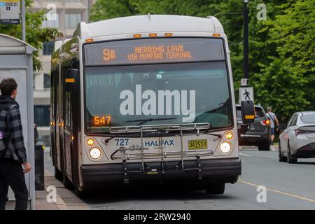 Halifax Transit Bus, Route 9B an der Spring Garden Road. Bus mit öffentlichen Verkehrsmitteln in Nova Scotia. Halifax, Nova Scotia - 1. JULI 2023 Stockfoto