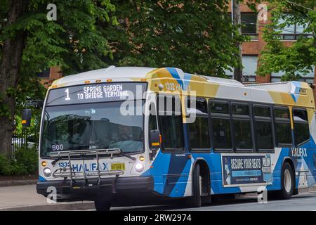 Halifax Transit Bus, Route 1 an der Spring Garden Road. Bus mit öffentlichen Verkehrsmitteln in Nova Scotia. Halifax, Nova Scotia - 1. JULI 2023 Stockfoto