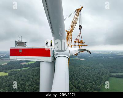 17.08.2023, Deutschland, Nordrhein-Westfalen, Dorsten - Bau einer Windkraftanlage. Ein mobiler Großkran, ein LKW-Kran, hebt ein Rotorblatt Stockfoto