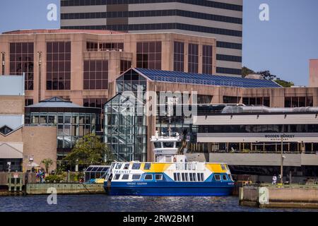 Halifax Fährtransport am Alderney Terminal, Darmouth, KANADA. Die Fähre verkehrt zwischen Dartmouth und Halifax und ist die älteste Fährstrecke Nordamerikas. Stockfoto