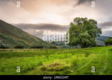 Wunderschönes grünes Feld und Bäume im Bergtal. Lake Lough Dan bei Sonnenuntergang in Wicklow Mountains, Irland Stockfoto