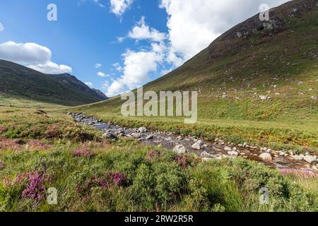 Glen Rosa, Goat Fell, Isle of Arran, Firth of Clyde, Schottland, UK Stockfoto