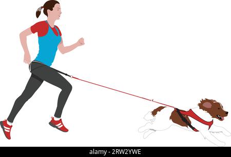 Canicross - Young Woman running with a Springer Spaniel on a white background Stock Vektor
