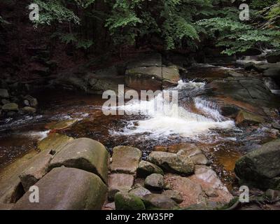 Fluss Mumlava (Harrachov, Bezirk Jablonec nad Nisou, Region Liberec, Tschechische Republik) Stockfoto