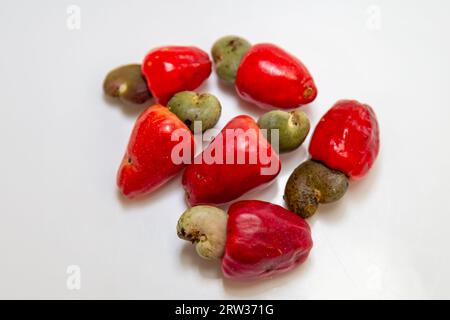 Das Cerrado cajuzinho (Anacardium humile), auch bekannt als cajuzinho-do-campo oder cajuí, Brasilianische Wildfrüchte Stockfoto