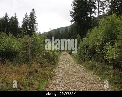 Karpacz (Kreis Karkonosze, Woiwodschaft Niederschlesien, Republik Polen) Stockfoto