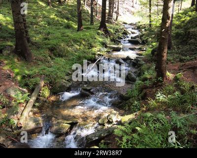 Karpacz (Kreis Karkonosze, Woiwodschaft Niederschlesien, Republik Polen) Stockfoto