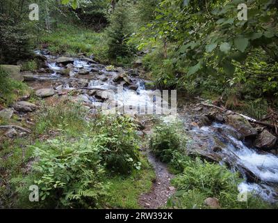 Karpacz (Kreis Karkonosze, Woiwodschaft Niederschlesien, Republik Polen) Stockfoto