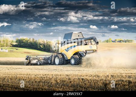 Cremona Alberta Canada, 10. September 2023: Ein New Holland-Mähdrescher erntet ein Gerstenfeld und macht einen Staubpfad unter einem dramatischen Sonnenuntergangshimmel auf der Kana Stockfoto
