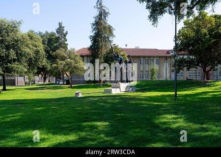 San Jose State University im Sommer Stockfoto