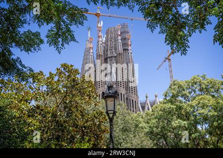 Die Basilika Sagrada Familia in Barcelona, Spanien am 28. August 2023 Stockfoto