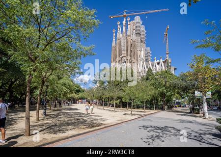 Die Basilika Sagrada Familia in Barcelona, Spanien am 28. August 2023 Stockfoto