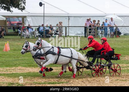 September 2023. Newbury Show kehrte heute zum ersten Mal seit der Pandemie zurück. Die Veranstaltung fand am Wochenende des 16. Und 17. September auf dem Newbury Showground, Berkshire, England, nach einer dreijährigen Lücke statt. Die Show, auch Royal County of Berkshire Show genannt, wurde von der Newbury & District Agricultural Society organisiert und war gut besucht. Rasender Wettkampf in der Haupthalle. Stockfoto